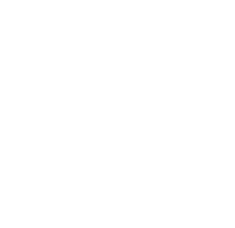 NVBDC TASK FORCE MEMBERS NVBDC-MVO Task Force